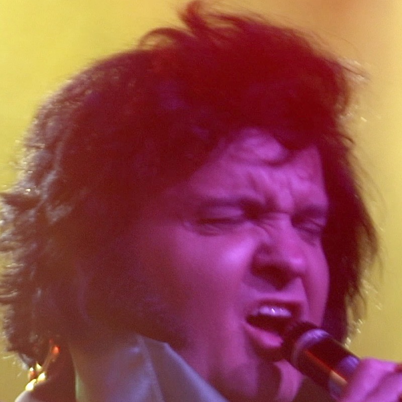 The Polish Elvis - Tribute International